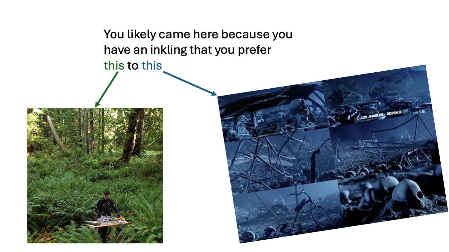 Image attached to this response